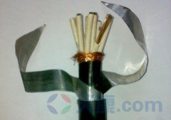 天康鎧裝屏蔽計算機(jī)電纜